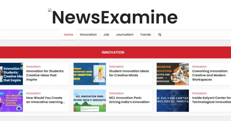 newsexamine.com